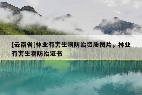 [云南省]林業(yè)有害生物防治資質(zhì)圖片，林業(yè)有害生物防治證書