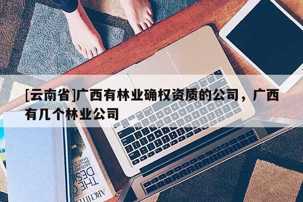 [云南省]廣西有林業(yè)確權(quán)資質(zhì)的公司，廣西有幾個(gè)林業(yè)公司