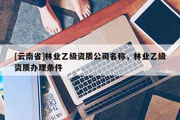 [云南省]林業(yè)乙級(jí)資質(zhì)公司名稱(chēng)，林業(yè)乙級(jí)資質(zhì)辦理?xiàng)l件