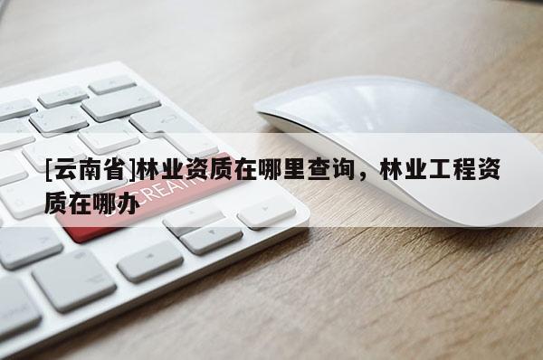 [云南省]林業(yè)資質(zhì)在哪里查詢，林業(yè)工程資質(zhì)在哪辦