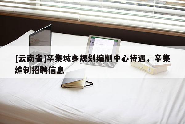[云南省]辛集城鄉(xiāng)規(guī)劃編制中心待遇，辛集編制招聘信息