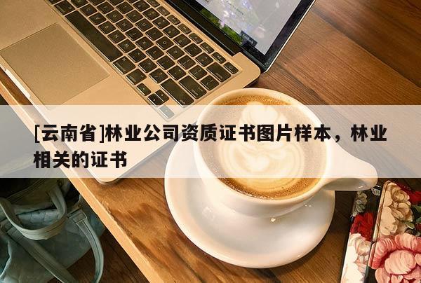 [云南省]林業(yè)公司資質(zhì)證書圖片樣本，林業(yè)相關的證書