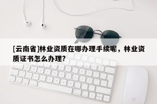 [云南省]林業(yè)資質在哪辦理手續(xù)呢，林業(yè)資質證書怎么辦理?