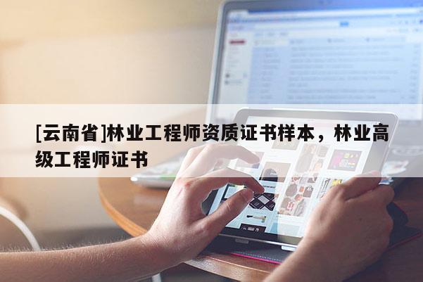 [云南省]林業(yè)工程師資質證書樣本，林業(yè)高級工程師證書