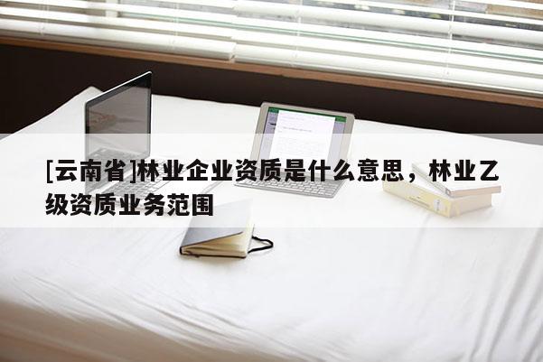 [云南省]林業(yè)企業(yè)資質(zhì)是什么意思，林業(yè)乙級資質(zhì)業(yè)務(wù)范圍
