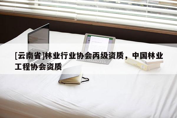 [云南省]林業(yè)行業(yè)協(xié)會(huì)丙級(jí)資質(zhì)，中國(guó)林業(yè)工程協(xié)會(huì)資質(zhì)