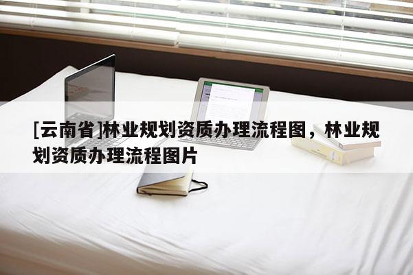 [云南省]林業(yè)規(guī)劃資質(zhì)辦理流程圖，林業(yè)規(guī)劃資質(zhì)辦理流程圖片