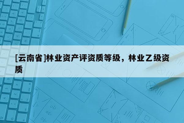 [云南省]林業(yè)資產(chǎn)評資質(zhì)等級，林業(yè)乙級資質(zhì)