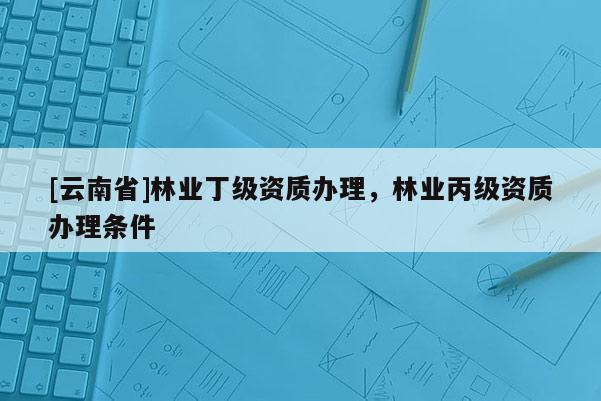 [云南省]林業(yè)丁級資質(zhì)辦理，林業(yè)丙級資質(zhì)辦理條件