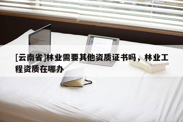 [云南省]林業(yè)需要其他資質(zhì)證書嗎，林業(yè)工程資質(zhì)在哪辦