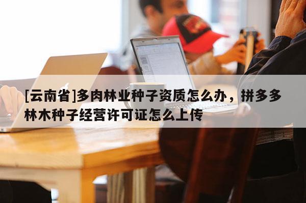 [云南省]多肉林業(yè)種子資質(zhì)怎么辦，拼多多林木種子經(jīng)營許可證怎么上傳