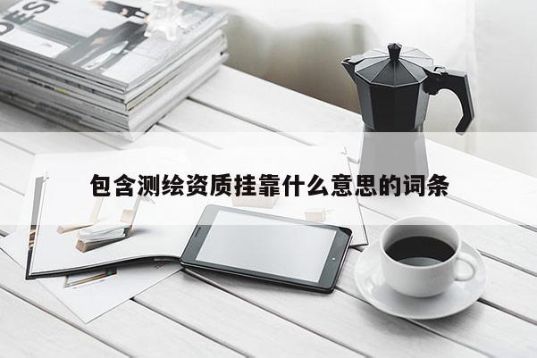 包含測(cè)繪資質(zhì)掛靠什么意思的詞條