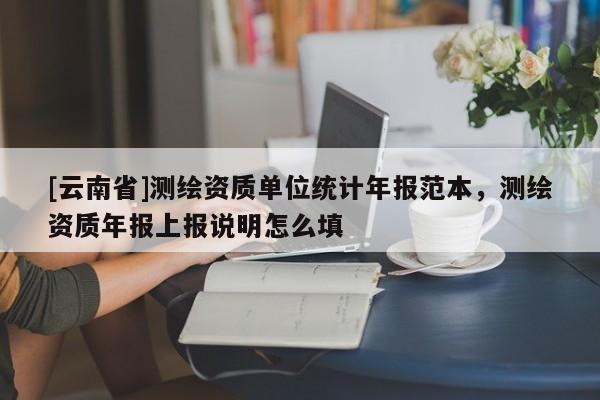 [云南省]測(cè)繪資質(zhì)單位統(tǒng)計(jì)年報(bào)范本，測(cè)繪資質(zhì)年報(bào)上報(bào)說(shuō)明怎么填