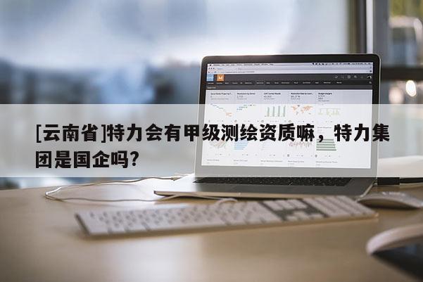 [云南省]特力會有甲級測繪資質(zhì)嘛，特力集團是國企嗎?