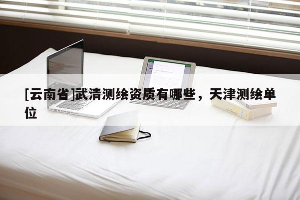 [云南省]武清測繪資質(zhì)有哪些，天津測繪單位