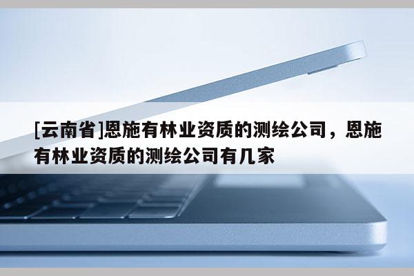 [云南省]恩施有林業(yè)資質(zhì)的測繪公司，恩施有林業(yè)資質(zhì)的測繪公司有幾家