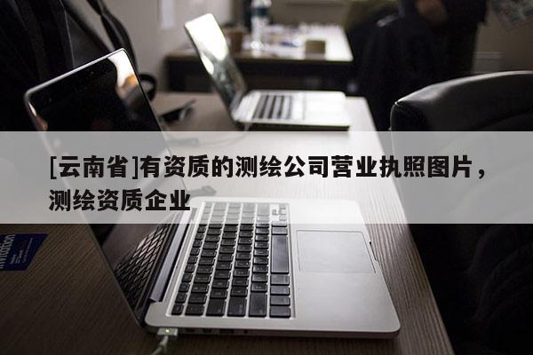 [云南省]有資質(zhì)的測繪公司營業(yè)執(zhí)照圖片，測繪資質(zhì)企業(yè)
